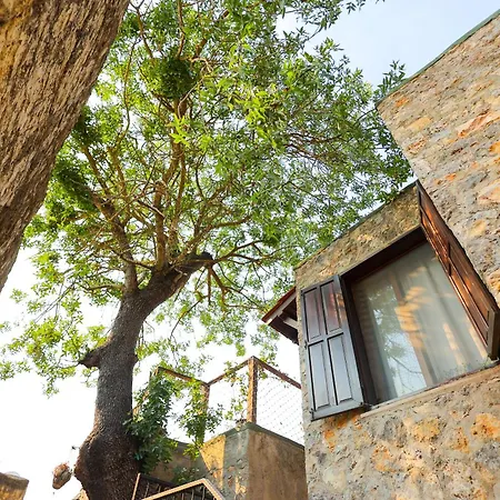 Villa Fuemehan Tarihi Tas Ev Since 1820 Kayakoy